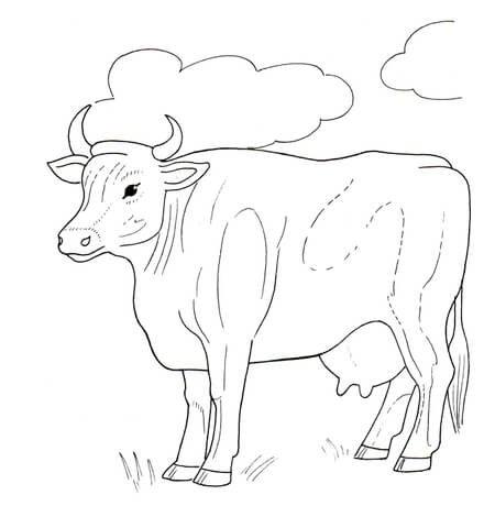 Cow And Clouds Coloring Page